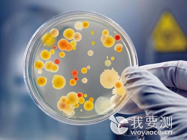微生物中的菌落总数与大肠菌群你了解多少?