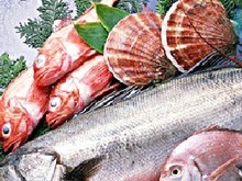 海产品微生物检测