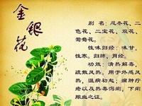 金银花与山银花的鉴别