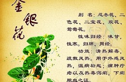 金银花与山银花的鉴别