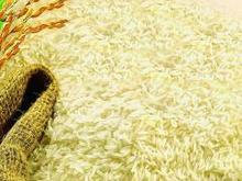 大米及米制品中重金属镉检测服务