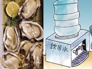 诺如病毒检测