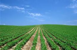农药和肥料检测