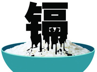 欧盟镉指令（91/338/EEC）要求镉限量 