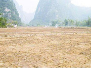环境土壤检测