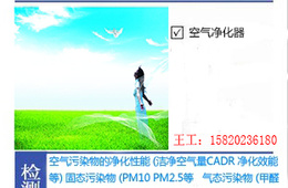 空气净化器净化性能检测