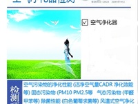 空气净化器净化性能质检报告