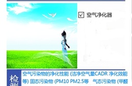 空气净化器净化性能质检报告