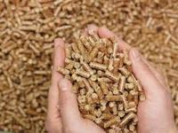 生物质燃料检测  燃料成分分析  燃料发热量检测 退税检测
