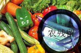 食品农药残留检测