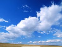 河南鼎泰检测-废气检测-环境空气检测