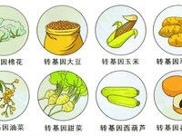 转基因成分检测