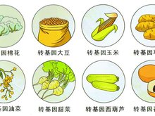 转基因成分检测