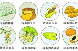 转基因成分检测