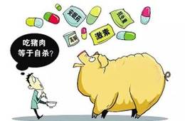 兽药残留检测