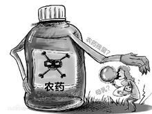 农药残留检测