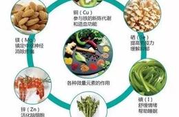 拓维检测农产品重金属及微量元素检测