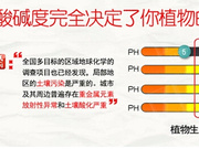 拓维检测土壤酸碱度检测