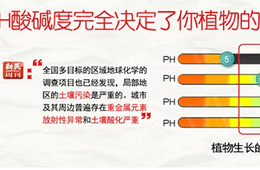 拓维检测土壤酸碱度检测