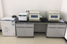 水果蔬菜及制品检测