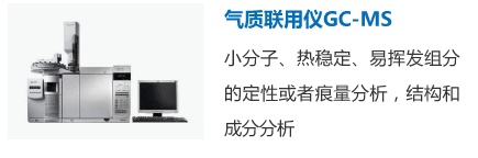 气质联用+GC-MS检测测试
