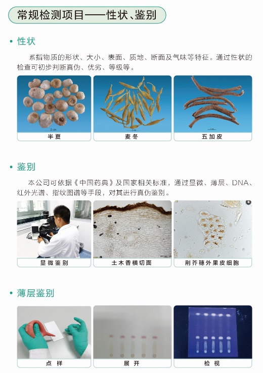 常规检测项目——性状、鉴别