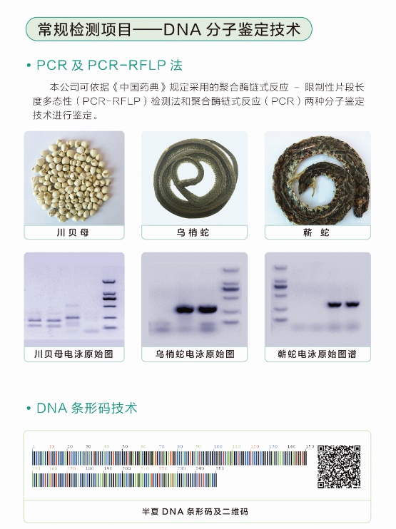 常规检测项目——DNA分子鉴定技术