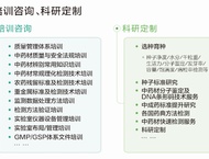 培训咨询、科研定制