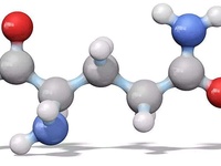 氨基酸检测_氨基酸含量检测机构_21种氨基酸检测