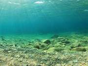 海洋沉积物检测