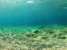 海洋沉积物检测