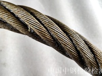 钢丝绳检测服务