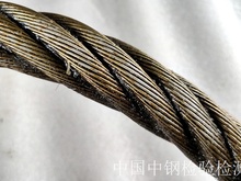 钢丝绳检测服务