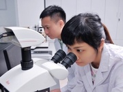 冰箱保鲜块的乙烯去除率的检测