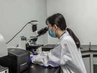 化妆品质量检测报告