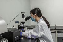 化妆品质量检测报告