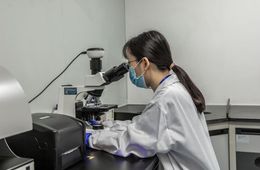 化妆品质量检测报告