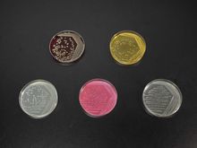 电子产品/军用设备长霉测试