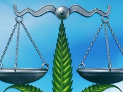 法医毒物鉴定