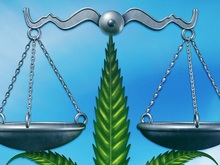 法医毒物鉴定