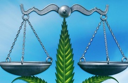 法医毒物鉴定