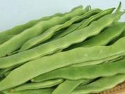 扁豆检测机构，专业蔬菜第三方检测机构