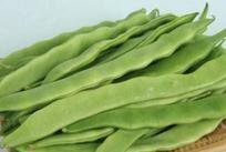 扁豆检测机构，专业蔬菜第三方检测机构