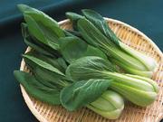 油菜检测部门， 蔬菜权威检测机构