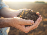 污泥检测重金属