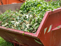 固体废物检测