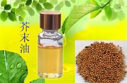 芥末油检测机构，专业第三方芥末油检测单位