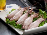 鱿鱼第三方检测报告，鱿鱼检测机构