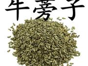 牛蒡子苷检测机构，专业第三方提取物检测机构