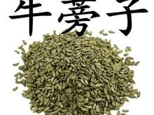 牛蒡子苷检测机构，专业第三方提取物检测机构